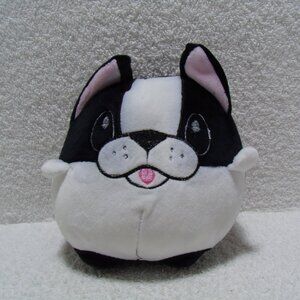 Squish mellow dog  black and white  small